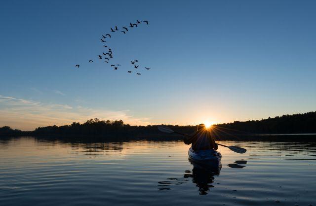 Shutterstock 333641777 c58254f5da89128fb802dc39362732e9